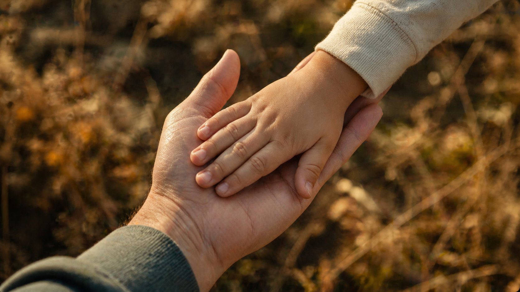 Volwassen hand houdt kinderhand vast in zacht ochtendlicht — een ontmoeting met jezelf